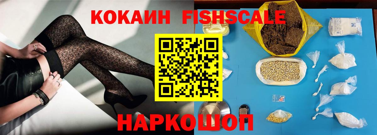 Cocaine FishScale  купить наркотики цена  Cocaine Колумбийский  Славгород  Вход с VPN  КОКАИН 