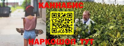дмт Шелехов