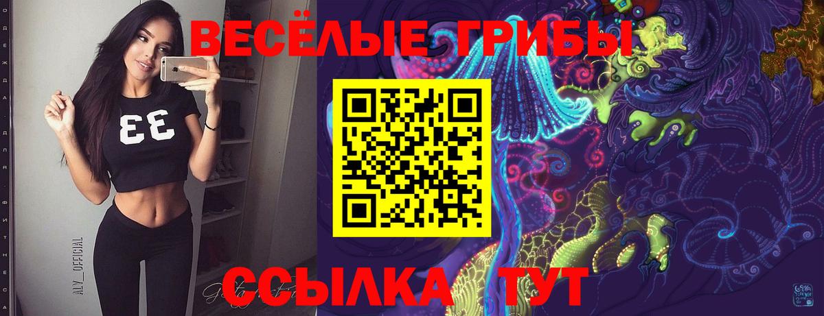 Галлюциногенные грибы мицелий  Вход с VPN  Славгород 